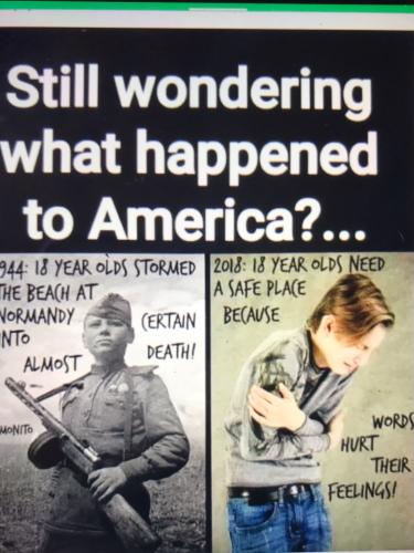 79a75f6b-803e-47dd-9863-c5b3b8d2d816