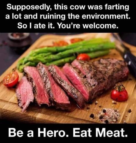 FB_IMG_1671325702431