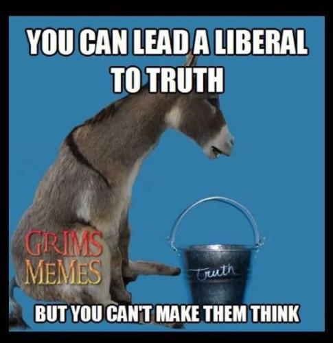 321380219_1188142472126526_8863036219866988122_n