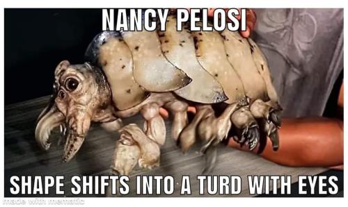 FB_IMG_1670645235415