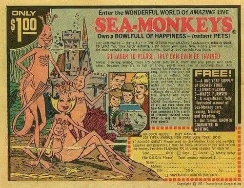 318185672_200684899190619_4244837812401724610_n