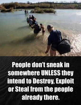 illegal immigration303