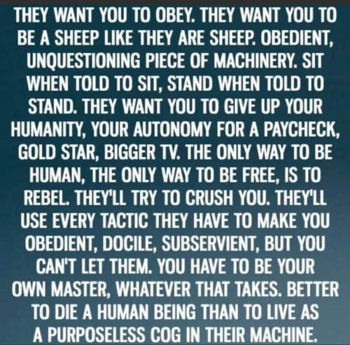 Screenshot_20221224_220046