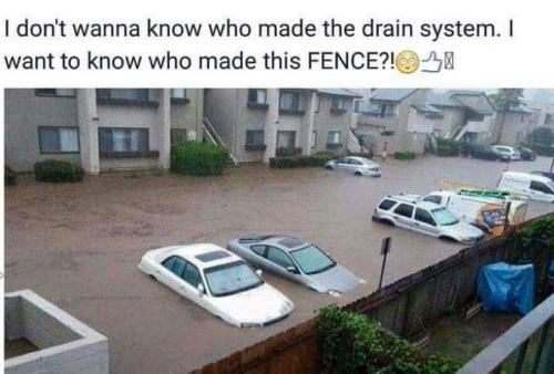 FB_IMG_1672435120983