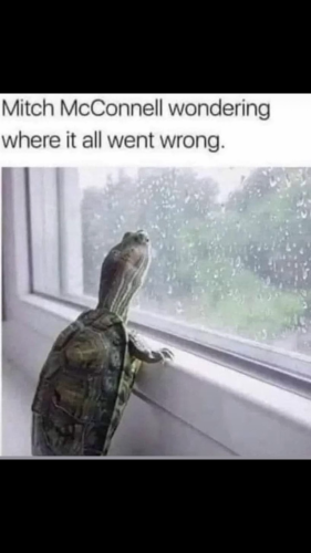 12:58:22 GMT-0500 (EST).image