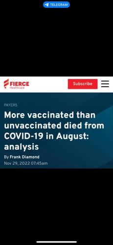 c3c8d6ced7851e52 g