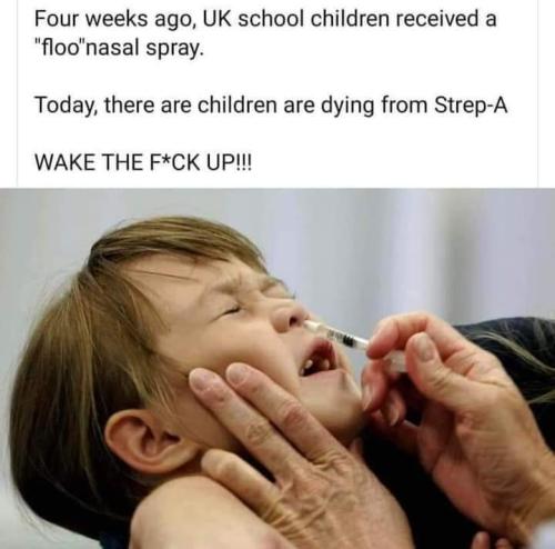 FB_IMG_1670280508343