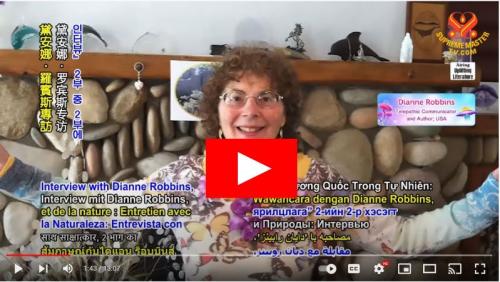 ,                                                                                                                                                                                                                          0 1