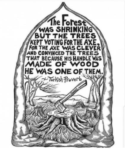 Screenshot_2022-12-19-21-32-42-80_1c337646f29875672b5a61192b9010f9