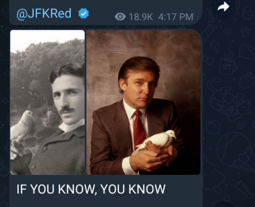 Screenshot_20221219-082539~2