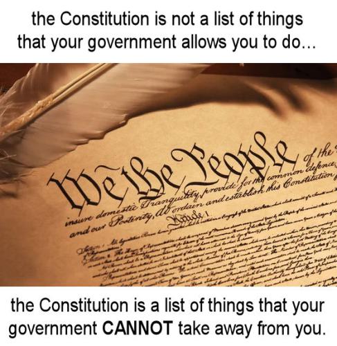 constitution15
