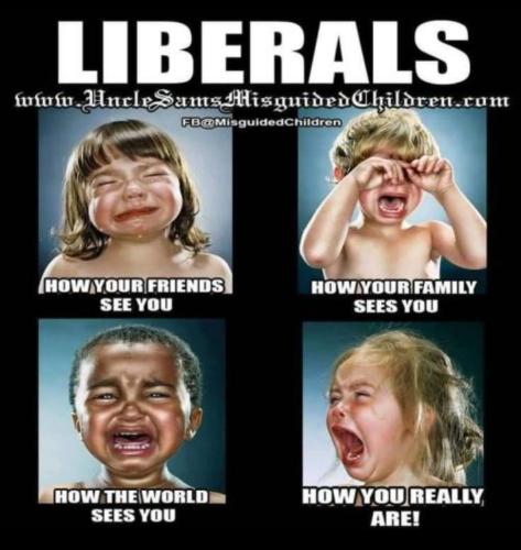 Screenshot_2022-12-14-10-31-23-52_97a2cc1df75455058e89d0e079c79104