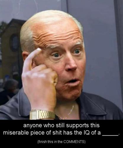 biden1133