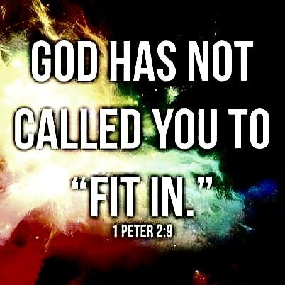 IMG_20221202_004539_573