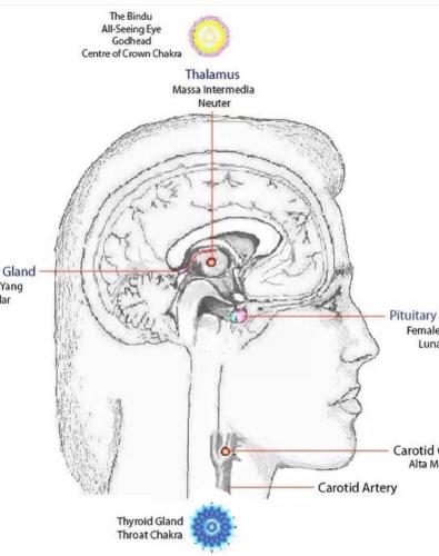 Screenshot_2022-12-22-12-18-36-62_1c337646f29875672b5a61192b9010f9