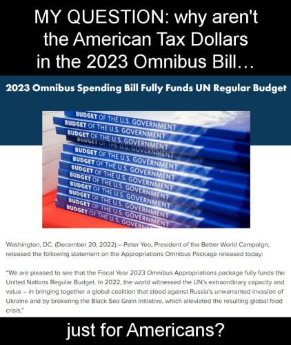 4155 budget-busting pages12