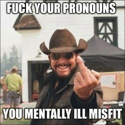 pronouns12