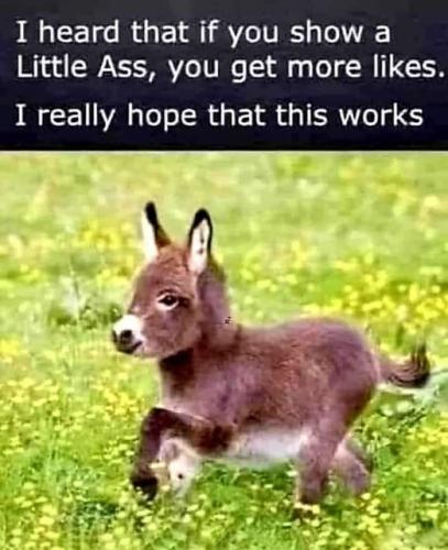 319360932_460141559635770_8234604482263233874_n