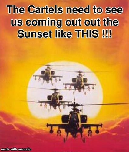 cartels me