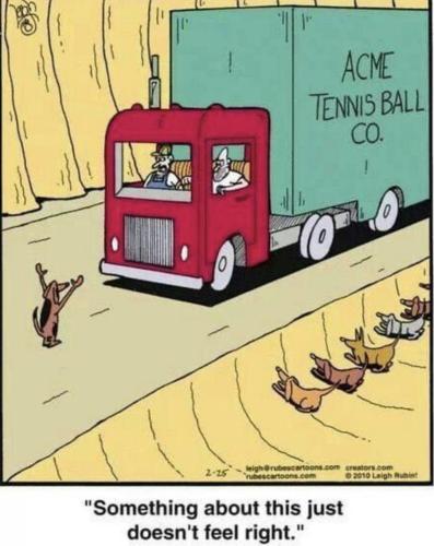 EDEDD4F5-EFEA-4755-9ACB-01EC3DC4D70D