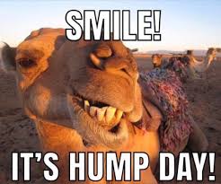 1-Hump Day
