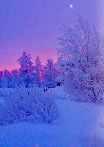 069C8C0C-1A1D-4A02-9BDB-1CB6B831DD71