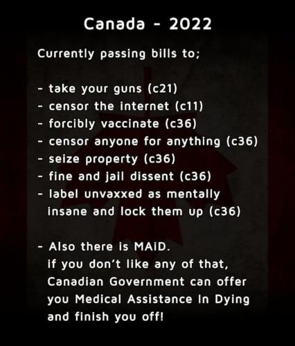 Screenshot_20221207-210604_Twitter