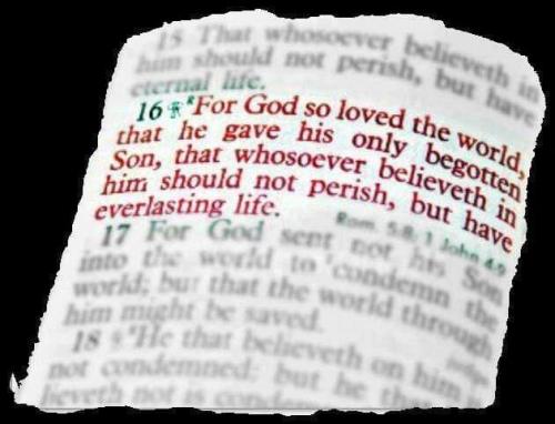 d193a0cd-4ea1-4ed0-bce4-a6b5f9aad770