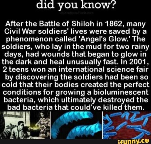 a52f36c9-e9ad-42fb-9d49-e791759af2b1