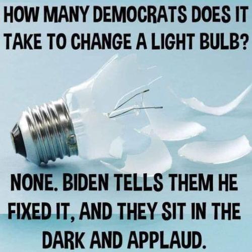Dem Light Bulb