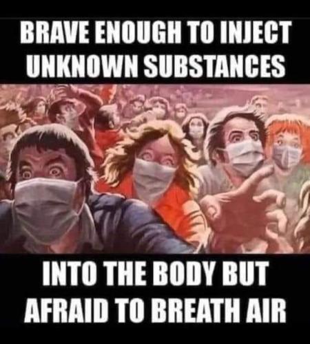 Screenshot_20221206_193555_Facebook