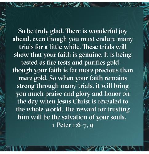 Screenshot_20221201-072706_Bible