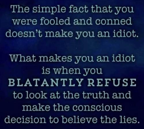 Makes You an Idiot 1