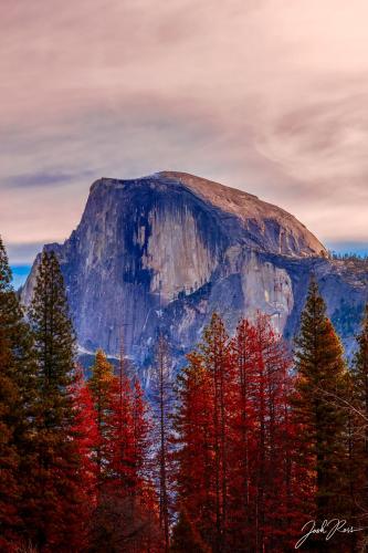 4F80AA07-5410-42EA-9DBD-F555F3E60140