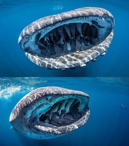 318154046_699525454876708_5138525513681268596_n