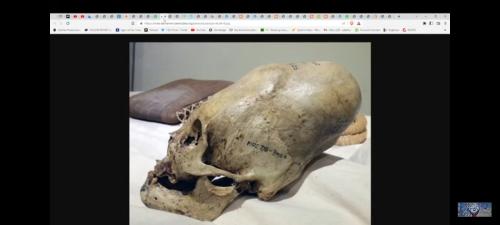 Screenshot_20221202-182903_YouTube