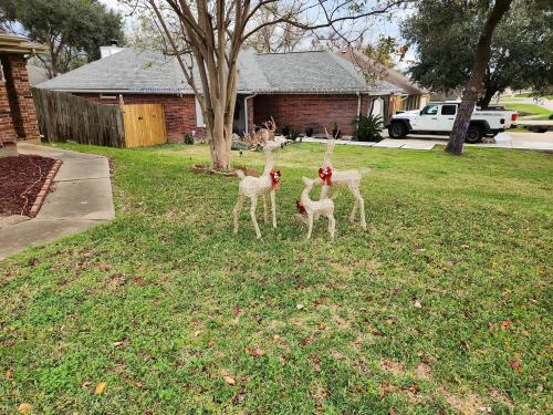 IMG_20221214_083021_02