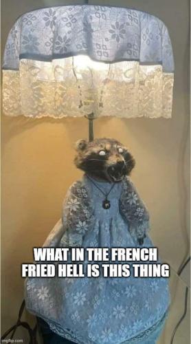 FB_IMG_1672086521660