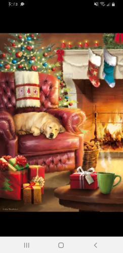 Screenshot_20221211-151251_Facebook