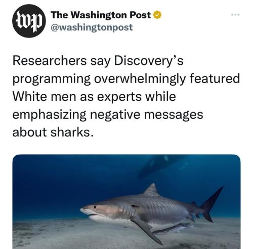 Screenshot_20221216_235012_Instagram