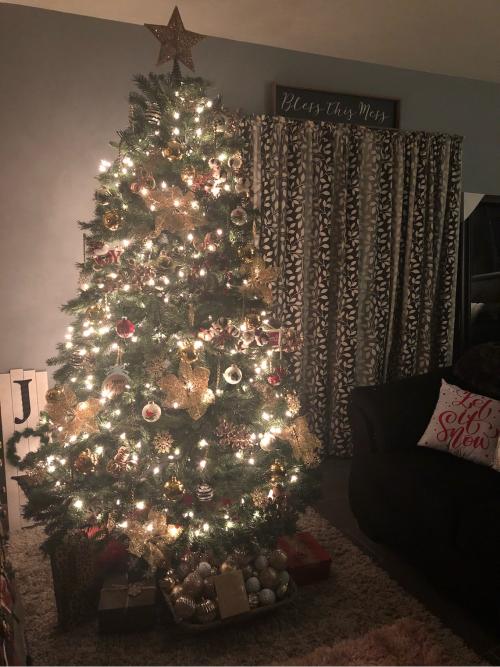 2912EA8D-28B1-41E5-89AA-B6264DE54999