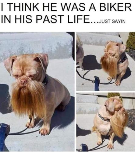 FB_IMG_1672517621389