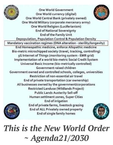 4fdcf8783efcde686a5dfa5c7a801709_1024