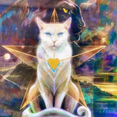 ,                                                                                                                                                                                                                          0 2