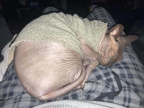 15:03:33 GMT-0500 (Eastern Standard Time).image