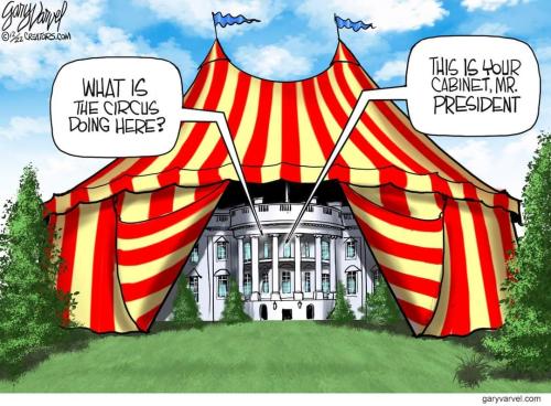 FB_IMG_1670134821319