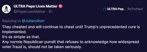 Voter Fraud 1