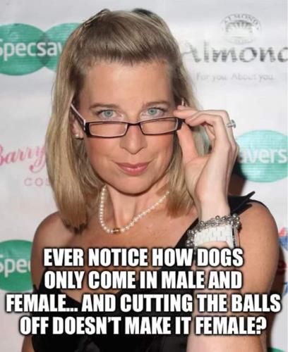 3d087230-4a03-4e01-8a7b-7630610f5d2b