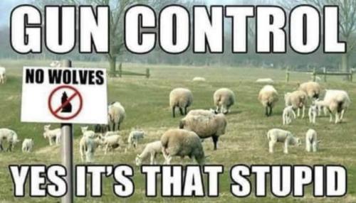 Gun Control 1