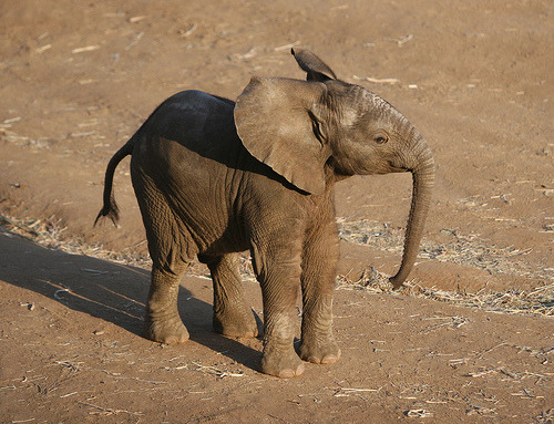 tumblr_lxcjm8hbyg1qcxax1o1_500